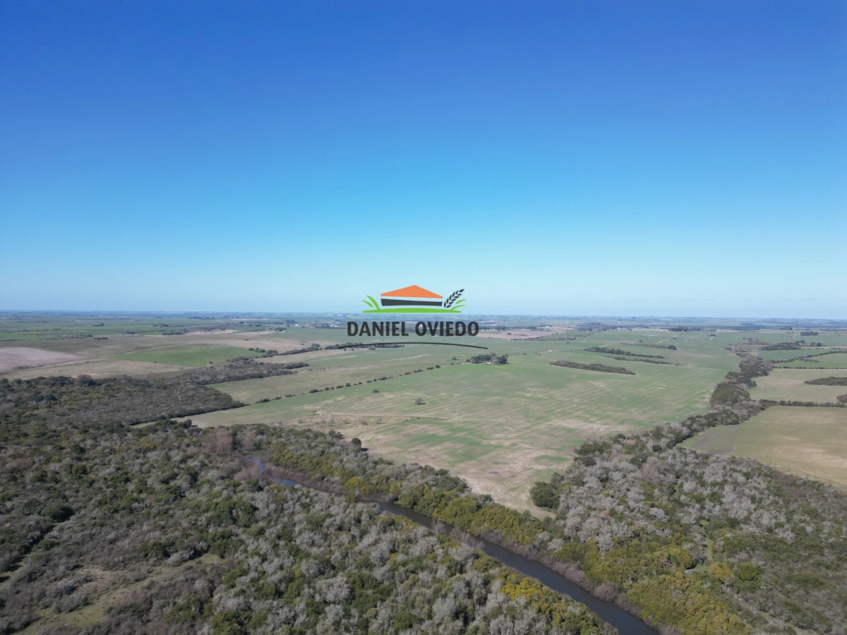 Campo Ref.243/Campo-agrícola-ganadero-en-venta-con-costa-de-arroyo. - Campo agrícola ganadero en venta con costa de arroyo.