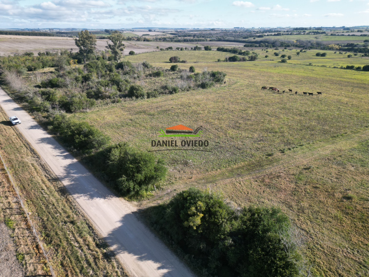Campo Ref.208 - Campo agrícola ganadero de 20,95 has en Miguelete de Campana.