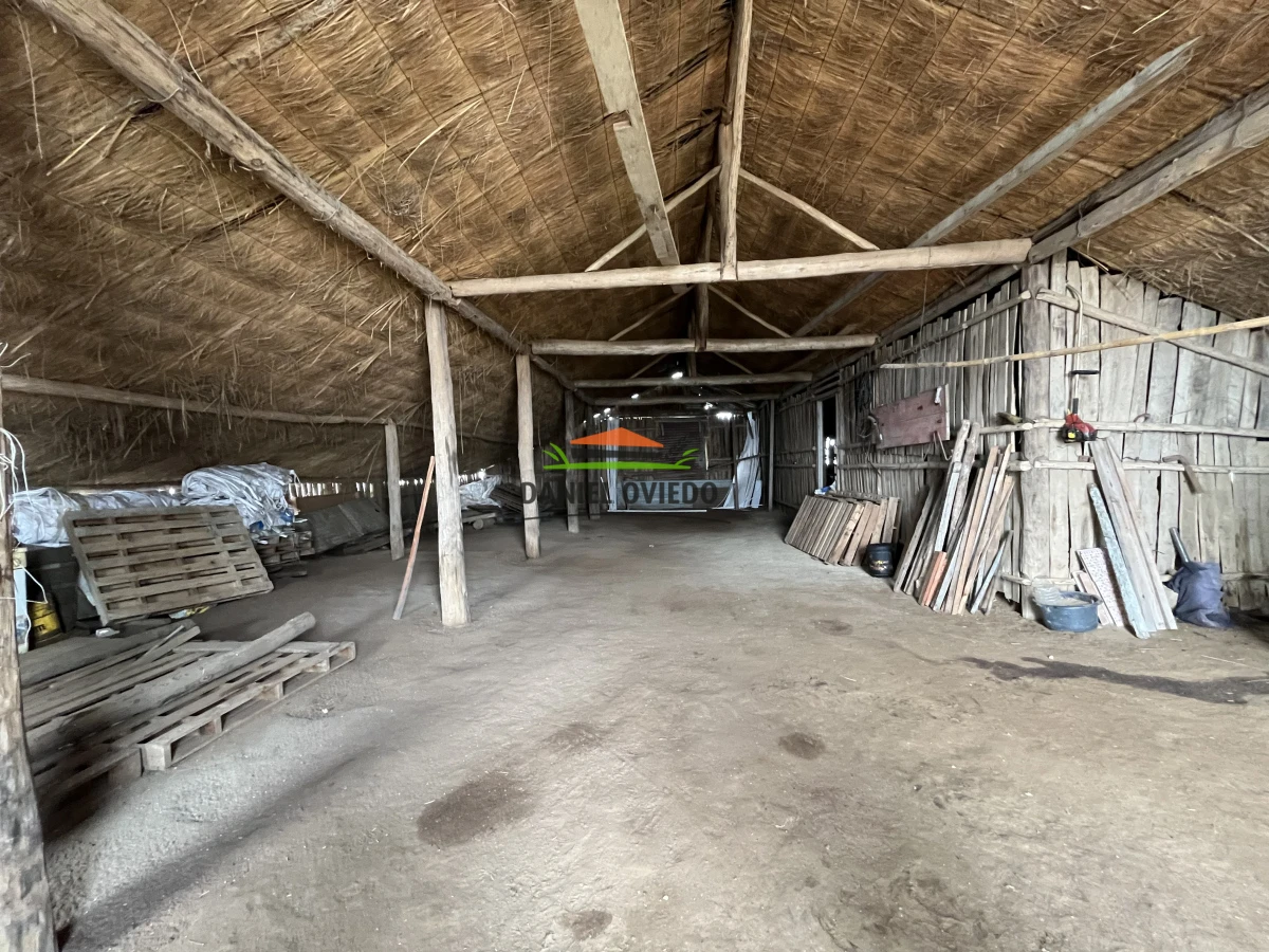 Campo Ref.245/1.350-has-ganaderas-en-arrendamiento-Noreste-de-Cerro-Largo. - 1.350 has ganaderas en arrendamiento Noreste de Cerro Largo.