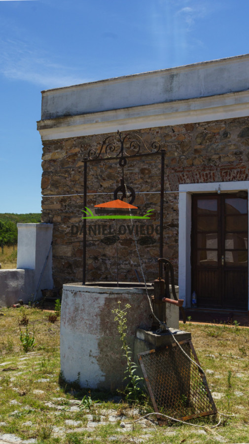 Campo Ref.327/Campo-con-Olivos-de-320-has-en-venta-en-Maldonado. - Campo con Olivos de 320 has en venta en Maldonado.