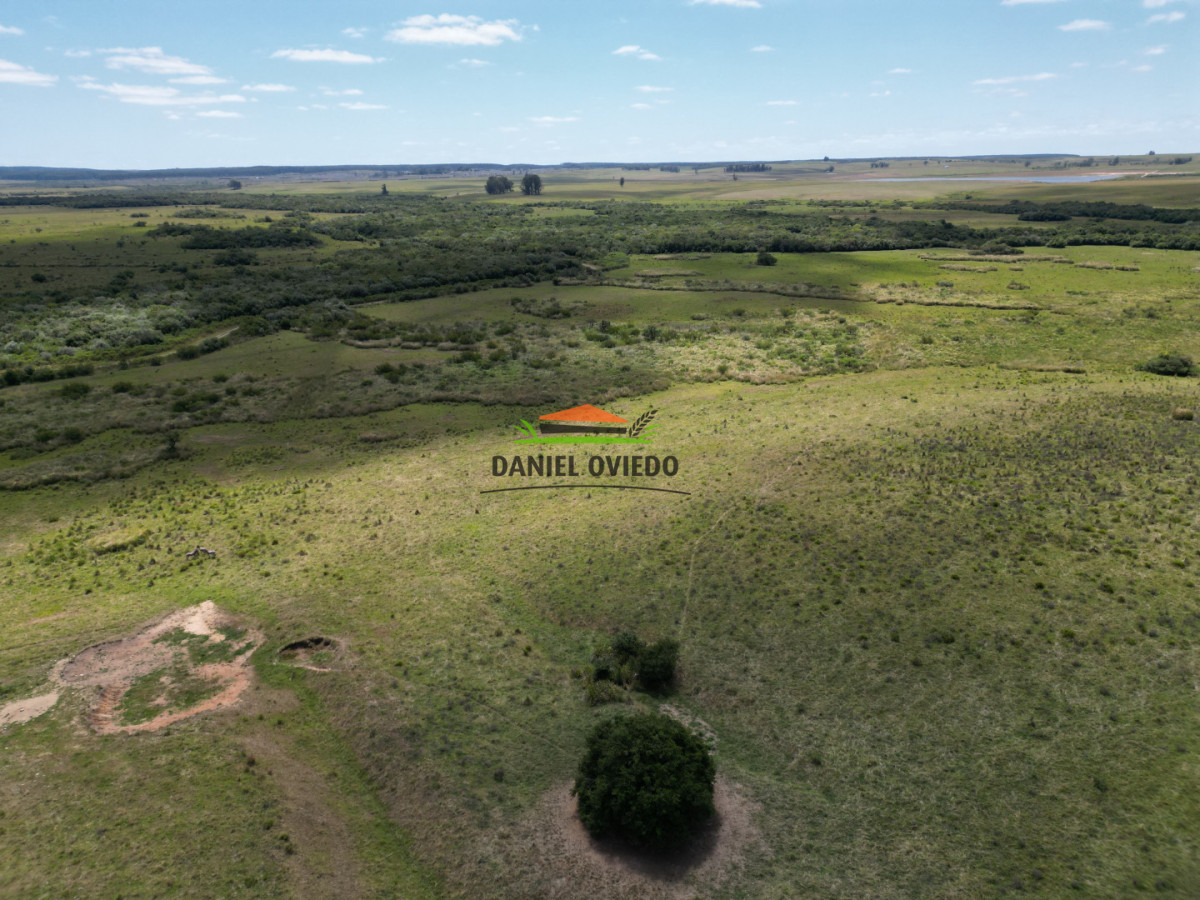 Campo Ref.359/Estancia-de-945-has-en-venta-en-Cerro-Largo. - Estancia de 945 has en venta en Cerro Largo.