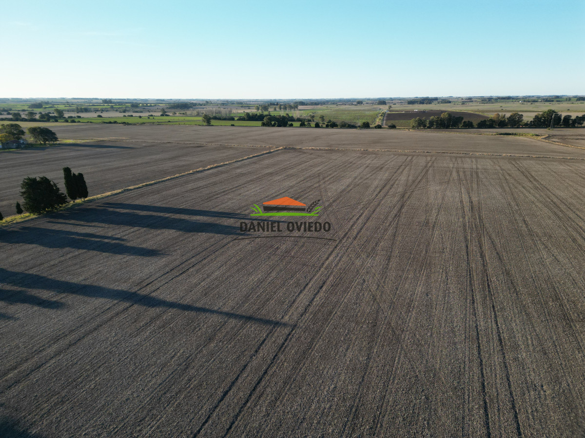 Campo Ref.207 - Excelente campo agrícola en venta en ruta 1, San José.