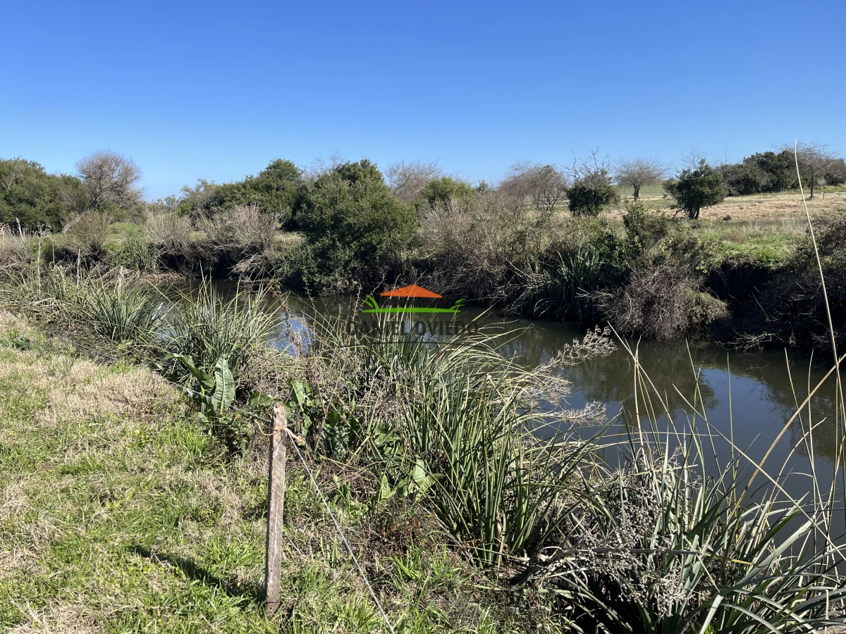 Campo Ref.243/Campo-agrícola-ganadero-en-venta-con-costa-de-arroyo. - Campo agrícola ganadero en venta con costa de arroyo.