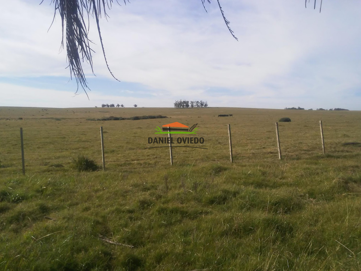 Campo Ref.306/Buen-campo-ganadero-en-venta-La-Coronilla,-Rocha. - Buen campo ganadero en venta La Coronilla, Rocha.