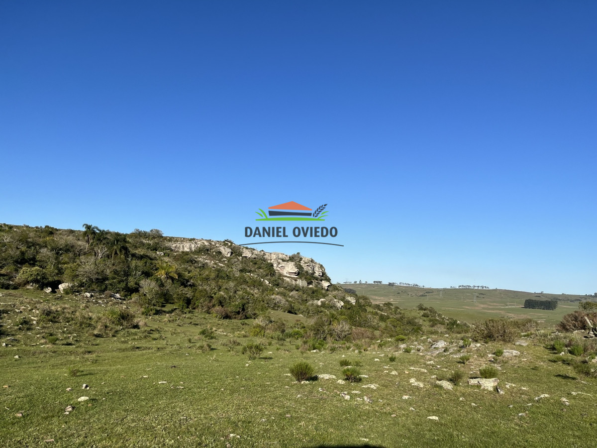 Campo Ref.52 - 374 hás ganaderas forestales en venta con mejoras y costa de arroyo.