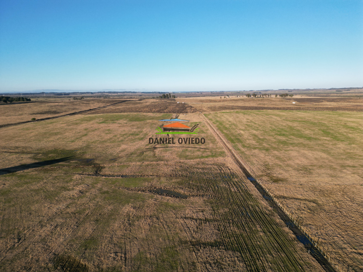 Campo Ref.223/Establecimiento-de-760-hás-en-venta-en-Cerro-Largo. - Establecimiento de 760 hás en venta en Cerro Largo.