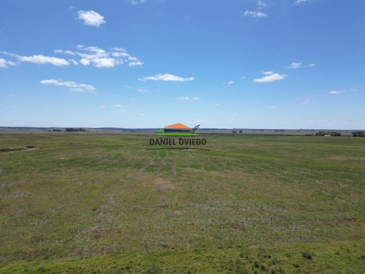 Campo Ref.359/Estancia-de-945-has-en-venta-en-Cerro-Largo. - Estancia de 945 has en venta en Cerro Largo.