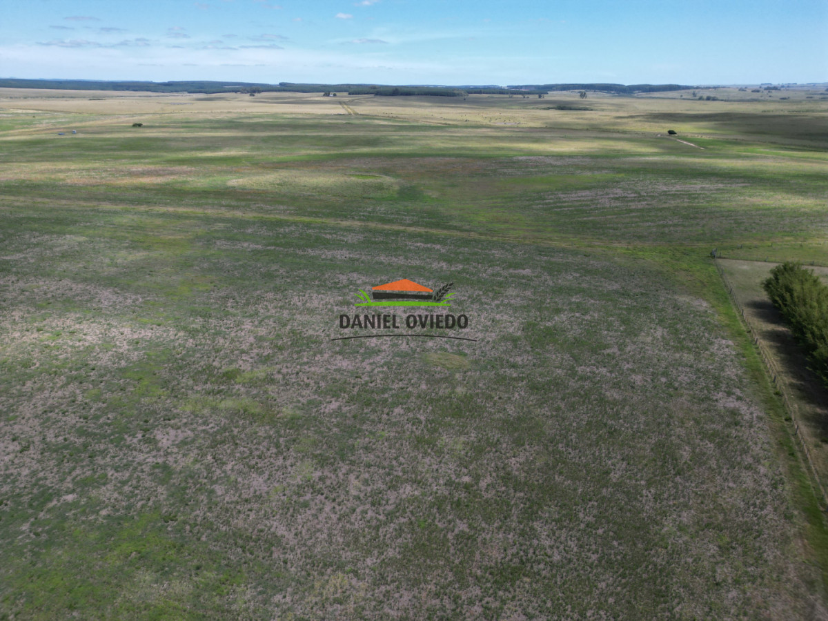 Campo Ref.359/Estancia-de-945-has-en-venta-en-Cerro-Largo. - Estancia de 945 has en venta en Cerro Largo.