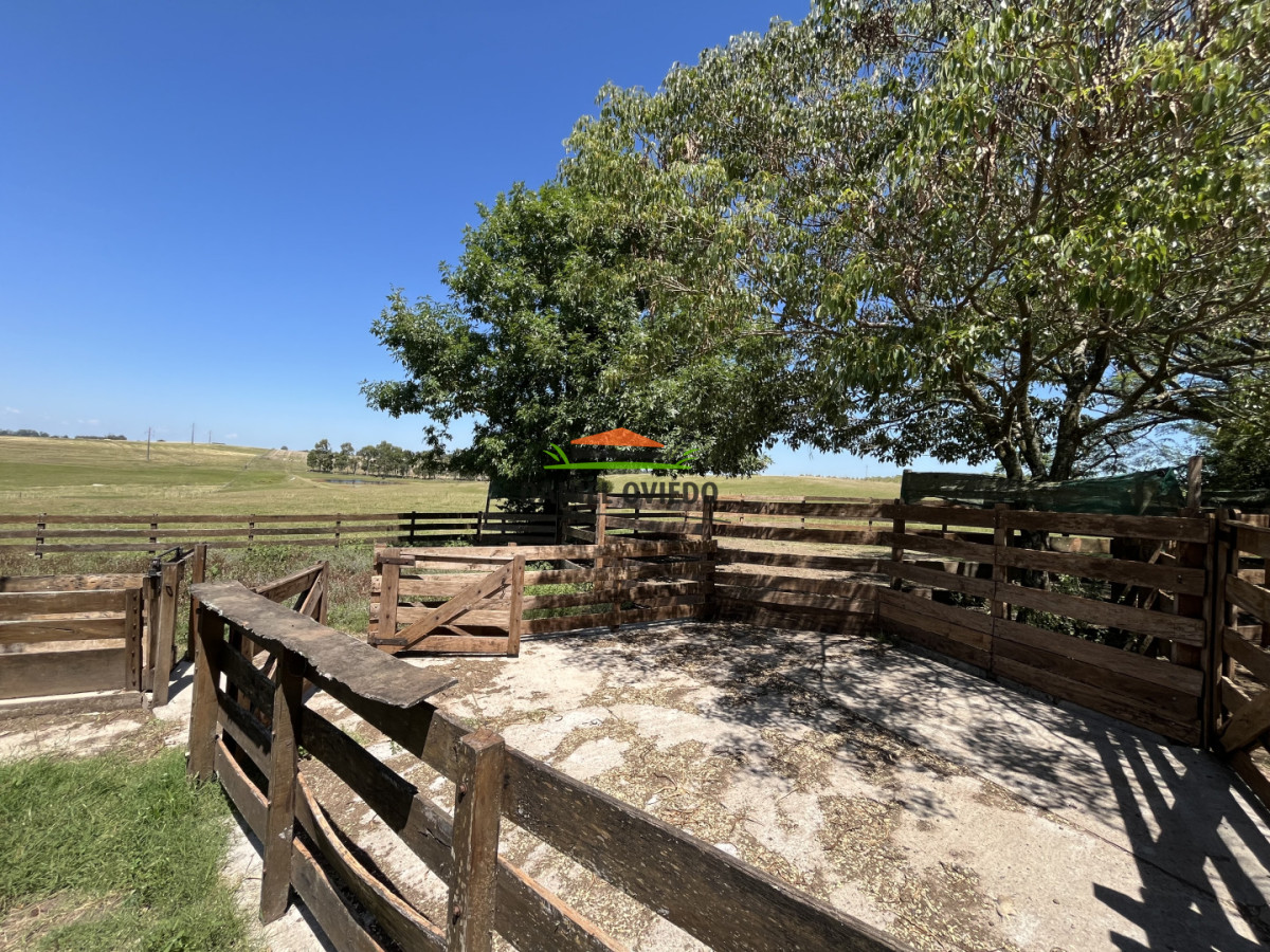 Campo Ref.357/Muy-buen-establecimiento-completo-en-venta-en-ruta-26-proximo-a-Melo. - Muy buen establecimiento completo en venta en ruta 26 proximo a Melo.