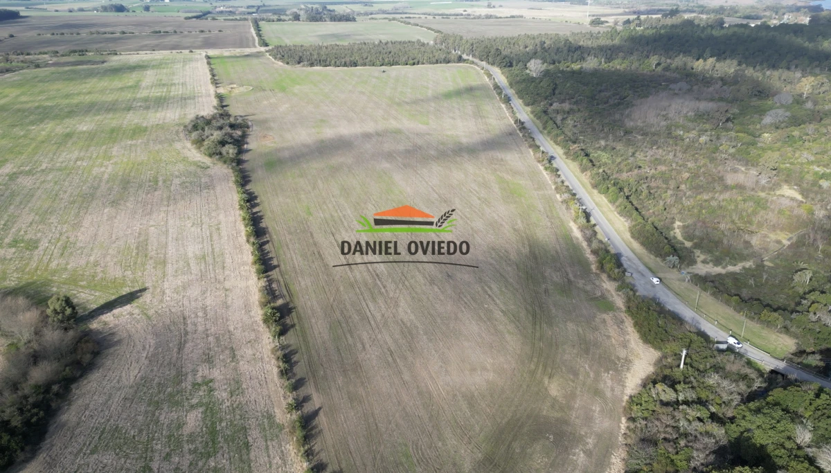 Campo Ref.235/Campo-agr - Campo agrícola de 23.8 has próximo a balneario Artilleros.