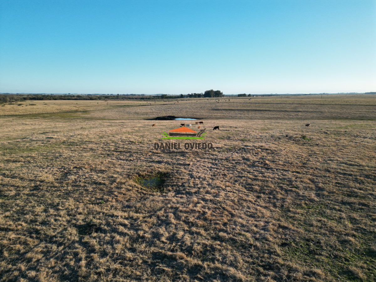 Campo Ref.223/Establecimiento-de-760-hás-en-venta-en-Cerro-Largo. - Establecimiento de 760 hás en venta en Cerro Largo.