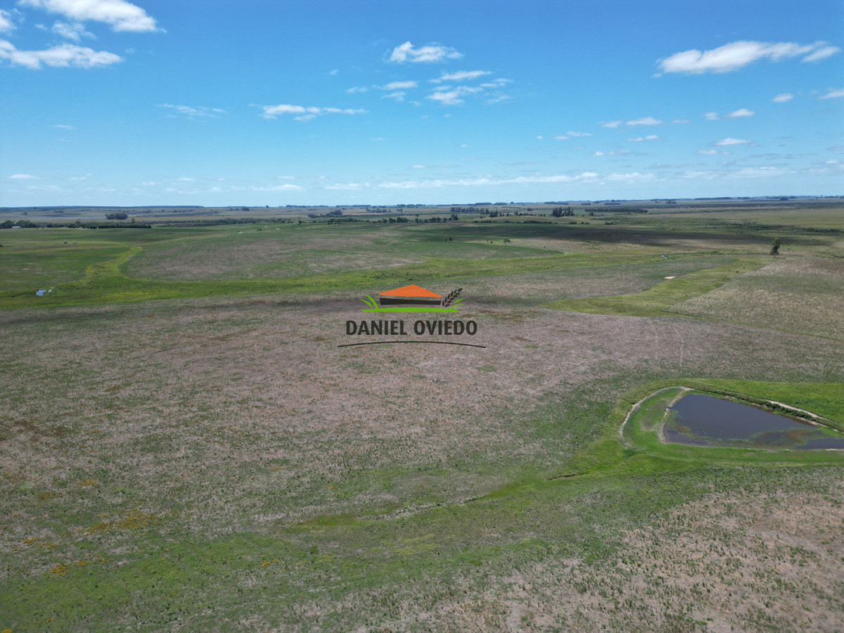 Campo Ref.359/Estancia-de-945-has-en-venta-en-Cerro-Largo. - Estancia de 945 has en venta en Cerro Largo.