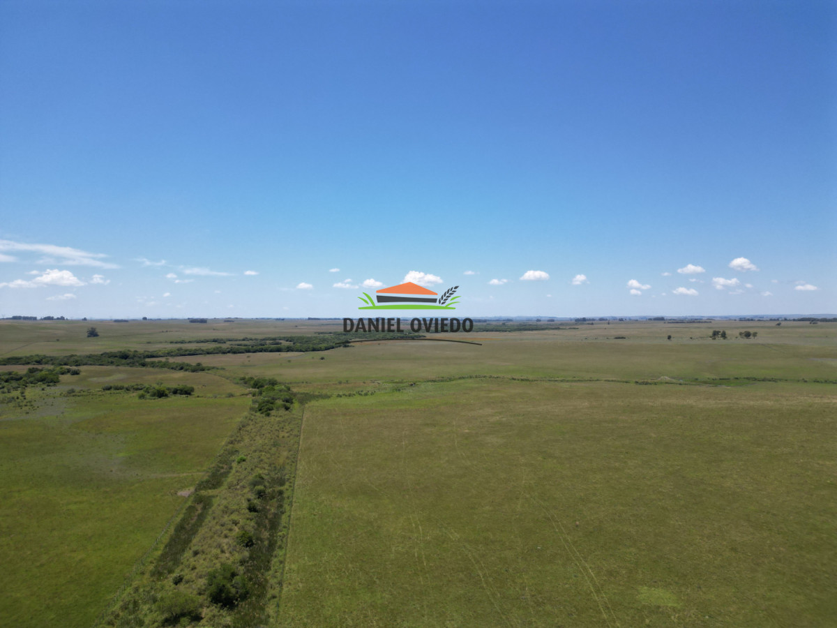 Campo Ref.357/Muy-buen-establecimiento-completo-en-venta-en-ruta-26-proximo-a-Melo. - Muy buen establecimiento completo en venta en ruta 26 proximo a Melo.