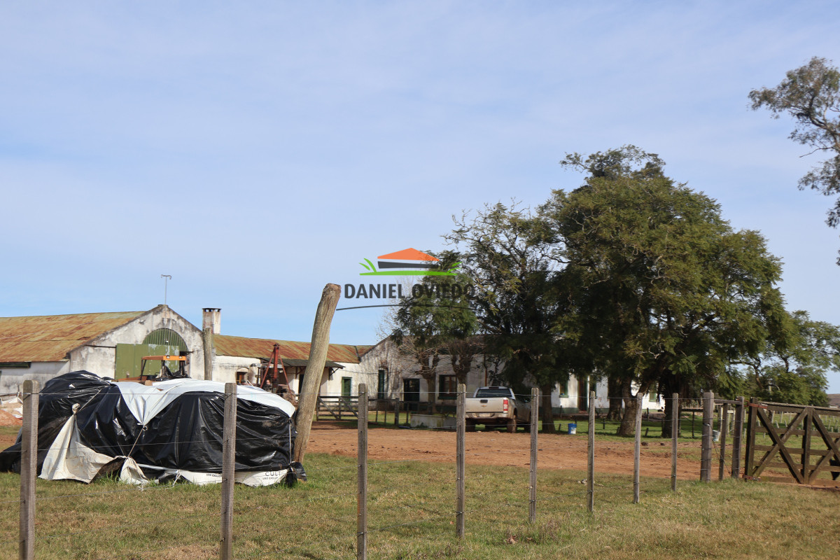 Campo Ref.210 - Estancia ganadera completa en venta de 3.000 has en Cerro Largo.