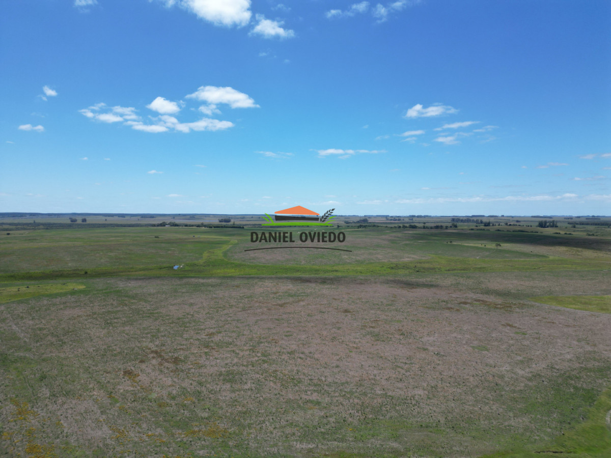 Campo Ref.359/Estancia-de-945-has-en-venta-en-Cerro-Largo. - Estancia de 945 has en venta en Cerro Largo.