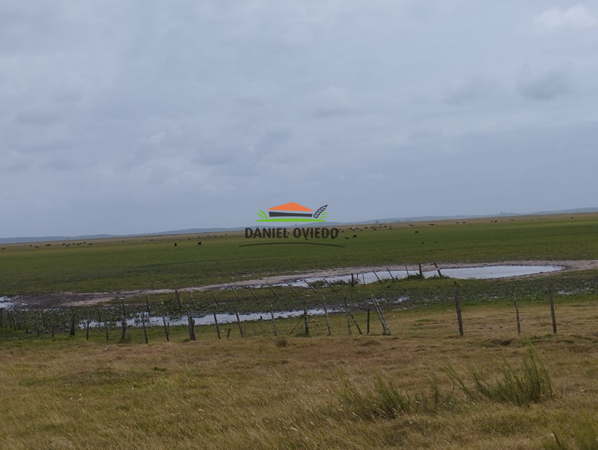 Campo Ref.306/Buen-campo-ganadero-en-venta-La-Coronilla,-Rocha. - Buen campo ganadero en venta La Coronilla, Rocha.