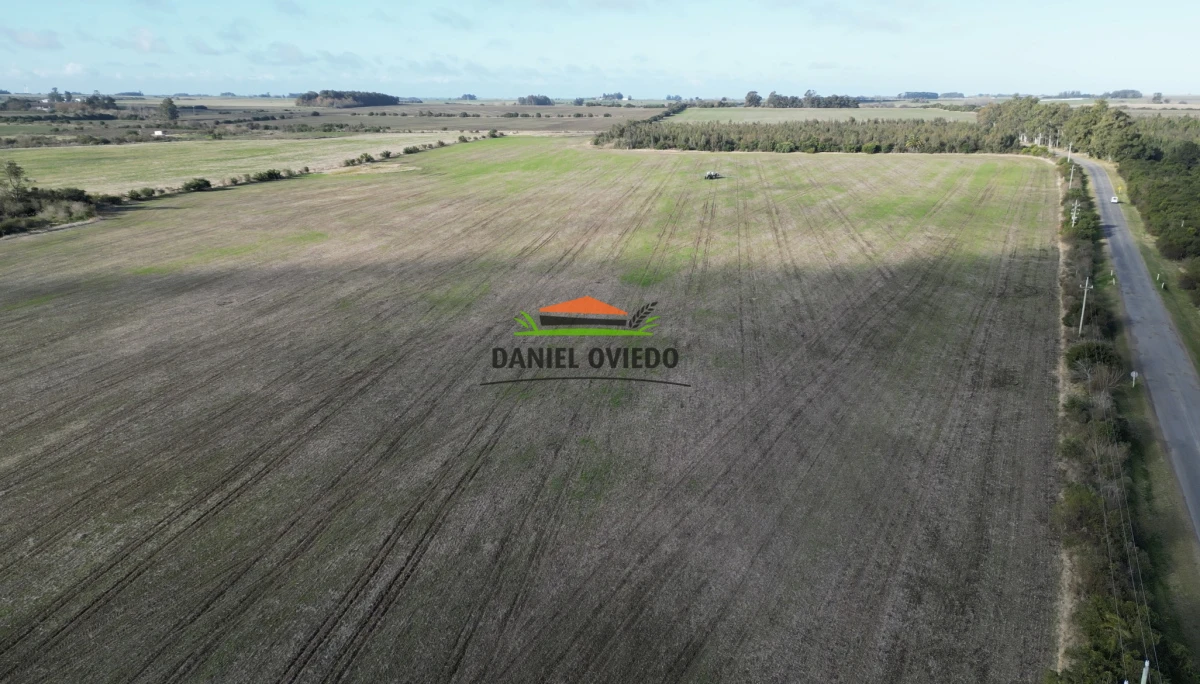 Campo Ref.235/Campo-agr - Campo agrícola de 23.8 has próximo a balneario Artilleros.