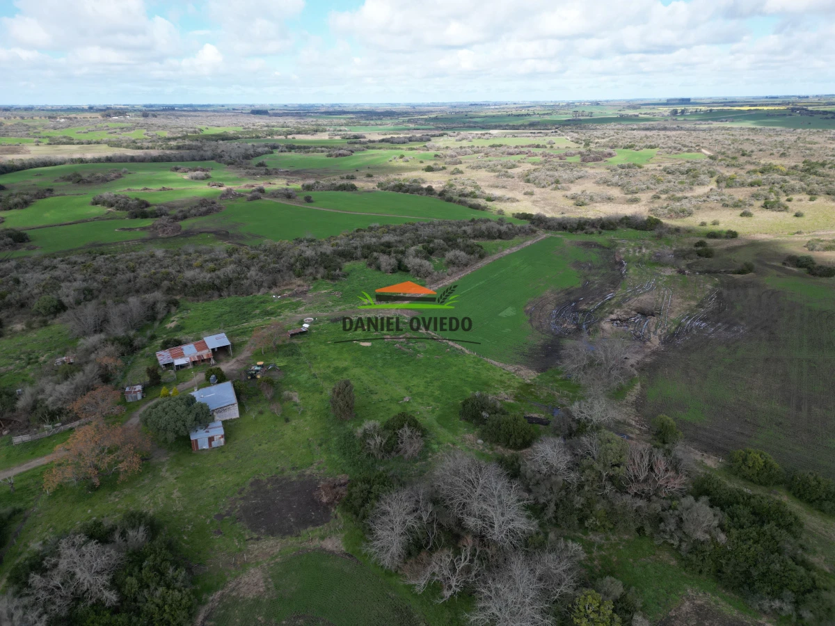 Campo Ref.249/Buen-campo-ganadero-en-venta-ideal-para-engorde. - Buen campo ganadero en venta ideal para engorde.