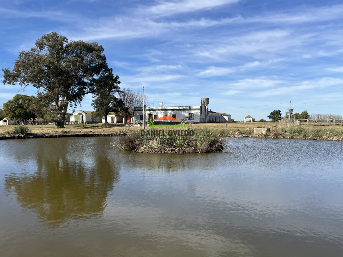 Campo Ref.210/Estancia-ganadera-completa-en-venta-de-2.956-has-en-Cerro-Largo. - Estancia ganadera completa en venta de 2.956 has en Cerro Largo.