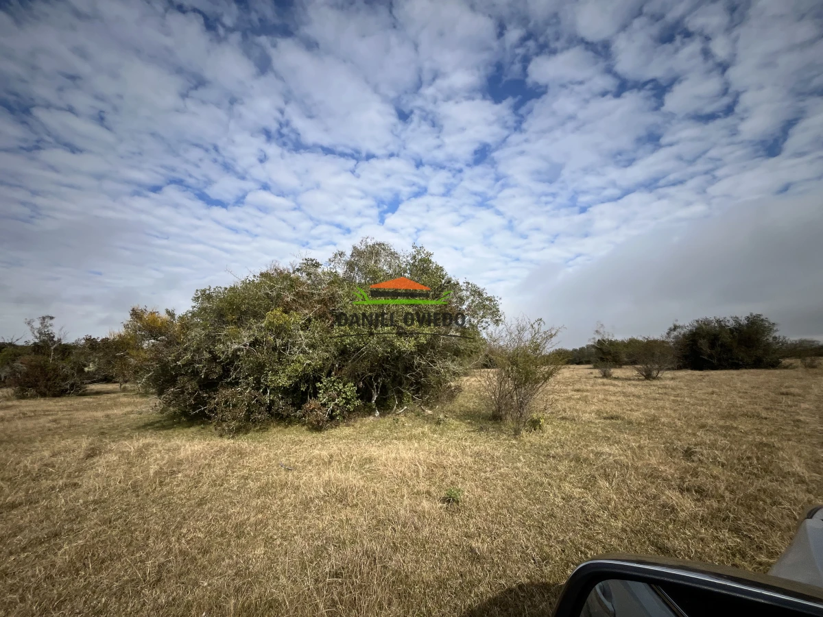 Campo Ref.245/1.350-has-ganaderas-en-arrendamiento-Noreste-de-Cerro-Largo. - 1.350 has ganaderas en arrendamiento Noreste de Cerro Largo.