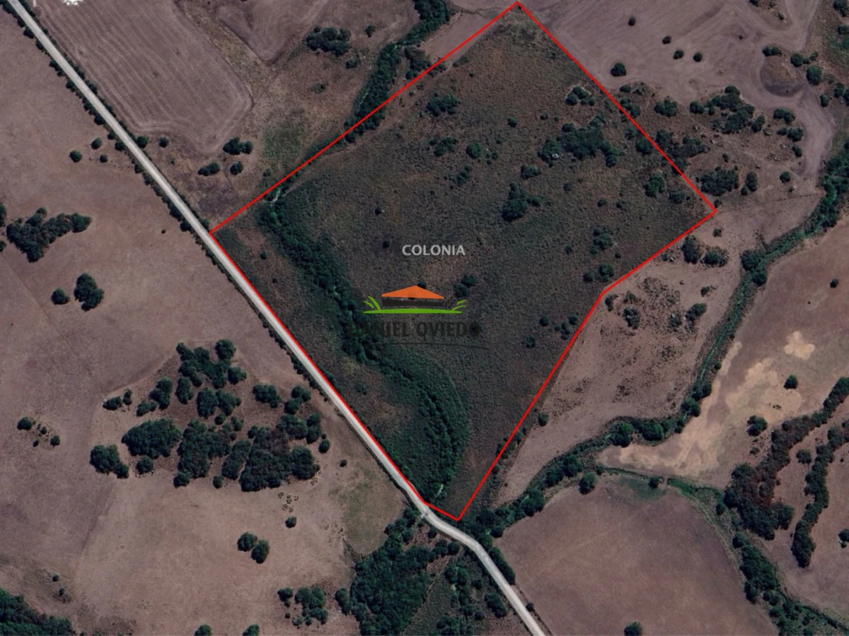 Campo Ref.302/Campo-de-18-hect - Campo de 18 hectáreas descansado con aguadas naturales y suelo fértil 5.02b