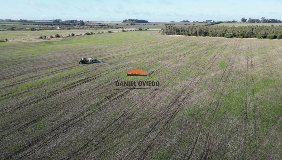 Campo Ref.235/Campo-agr - Campo agrícola de 23.8 has próximo a balneario Artilleros.