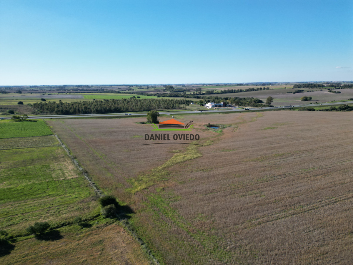 Campo Ref.383/22-Hect - 22 Hectáreas Agrícolas sobre Ruta 1 | Excelente Ubicación y Muy Buenos Suelos