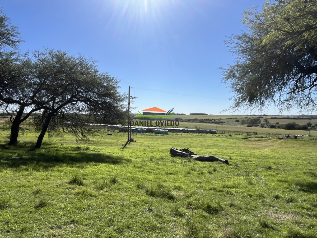 Campo Ref.381/Campo-agr - Campo agrícola en venta en zona de Víboras, Colonia.