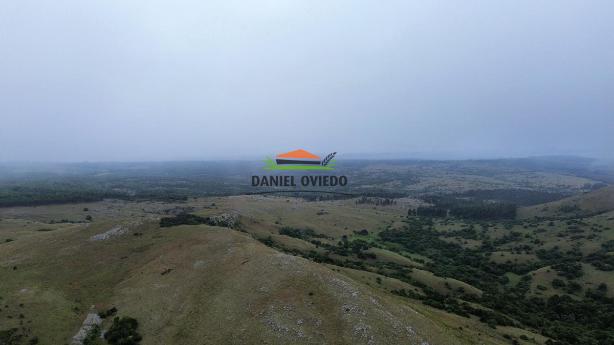 Campo Ref.350/Oportunidad-buen-campo-ganadero-en-venta-con-excelentes-vistas. - Oportunidad buen campo ganadero en venta con excelentes vistas.