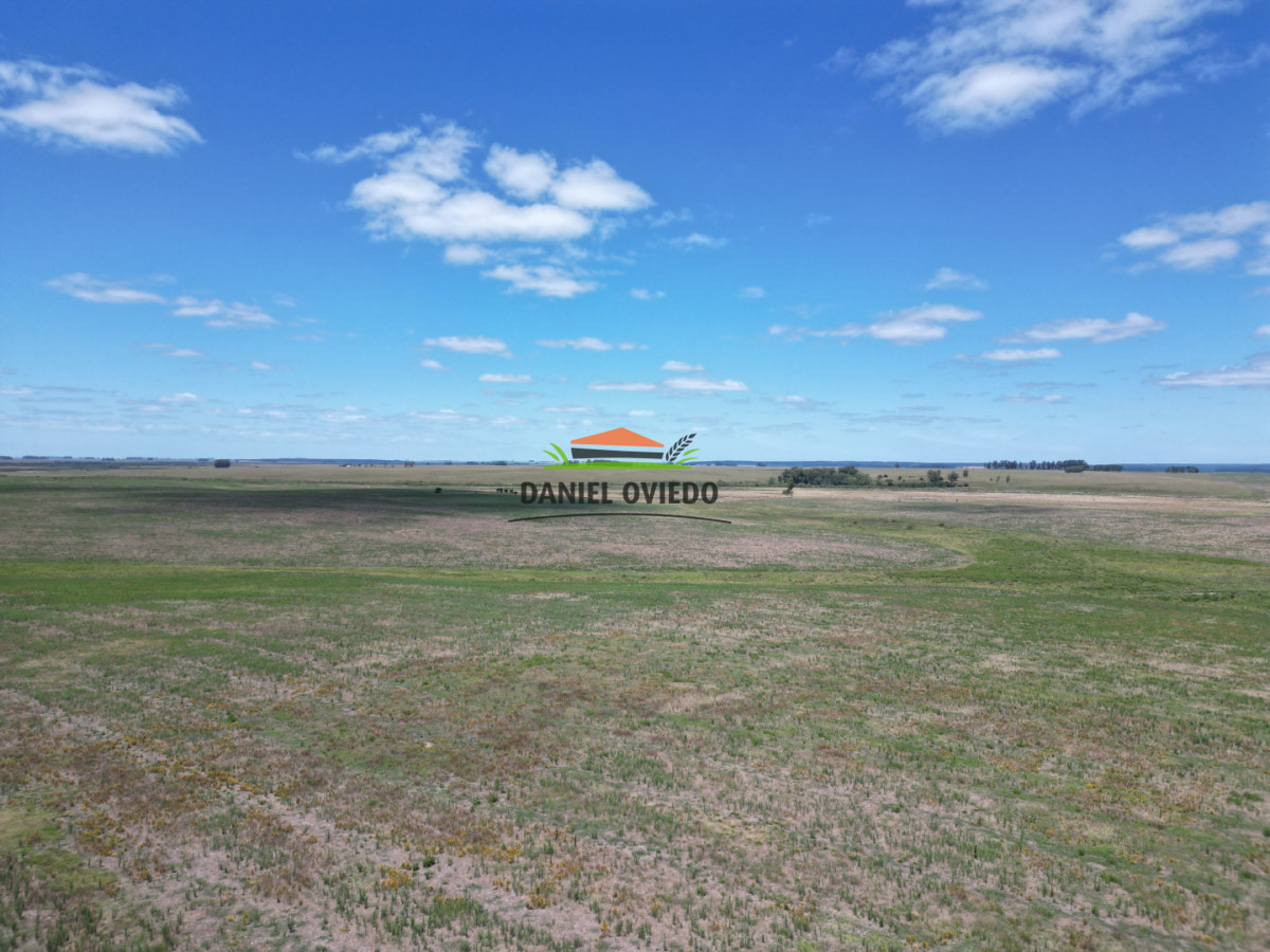 Campo Ref.359/Estancia-de-945-has-en-venta-en-Cerro-Largo. - Estancia de 945 has en venta en Cerro Largo.