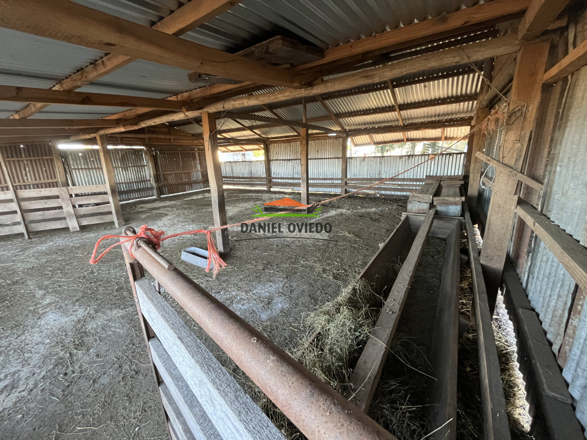 Campo Ref.209 - Excepcional ubicación en ruta 1 y campo productivo donde nadie vende.
