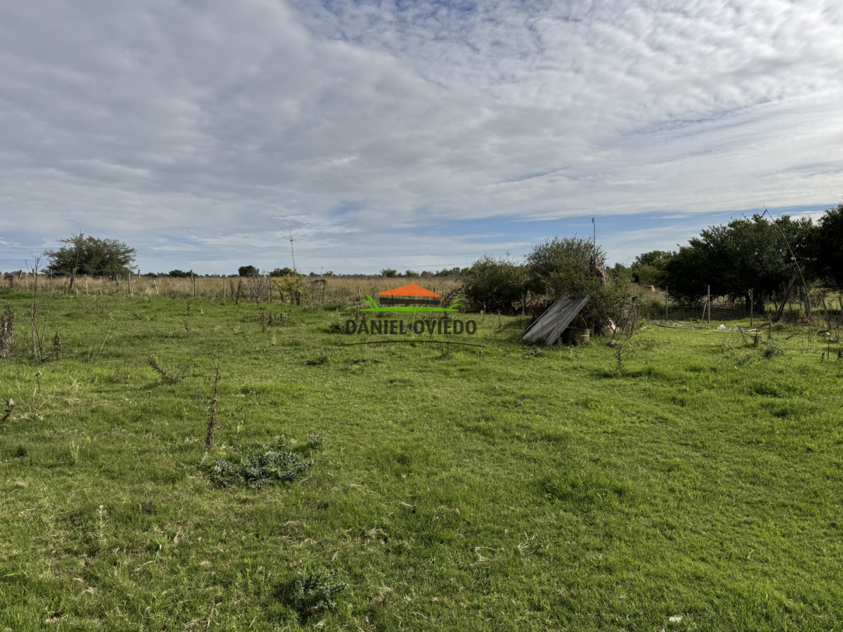 Campo Ref.377/Establecimiento-con-f - Establecimiento con fábrica y 33 Hás de campo - Instalaciones y equipamiento incluidos | Colonia