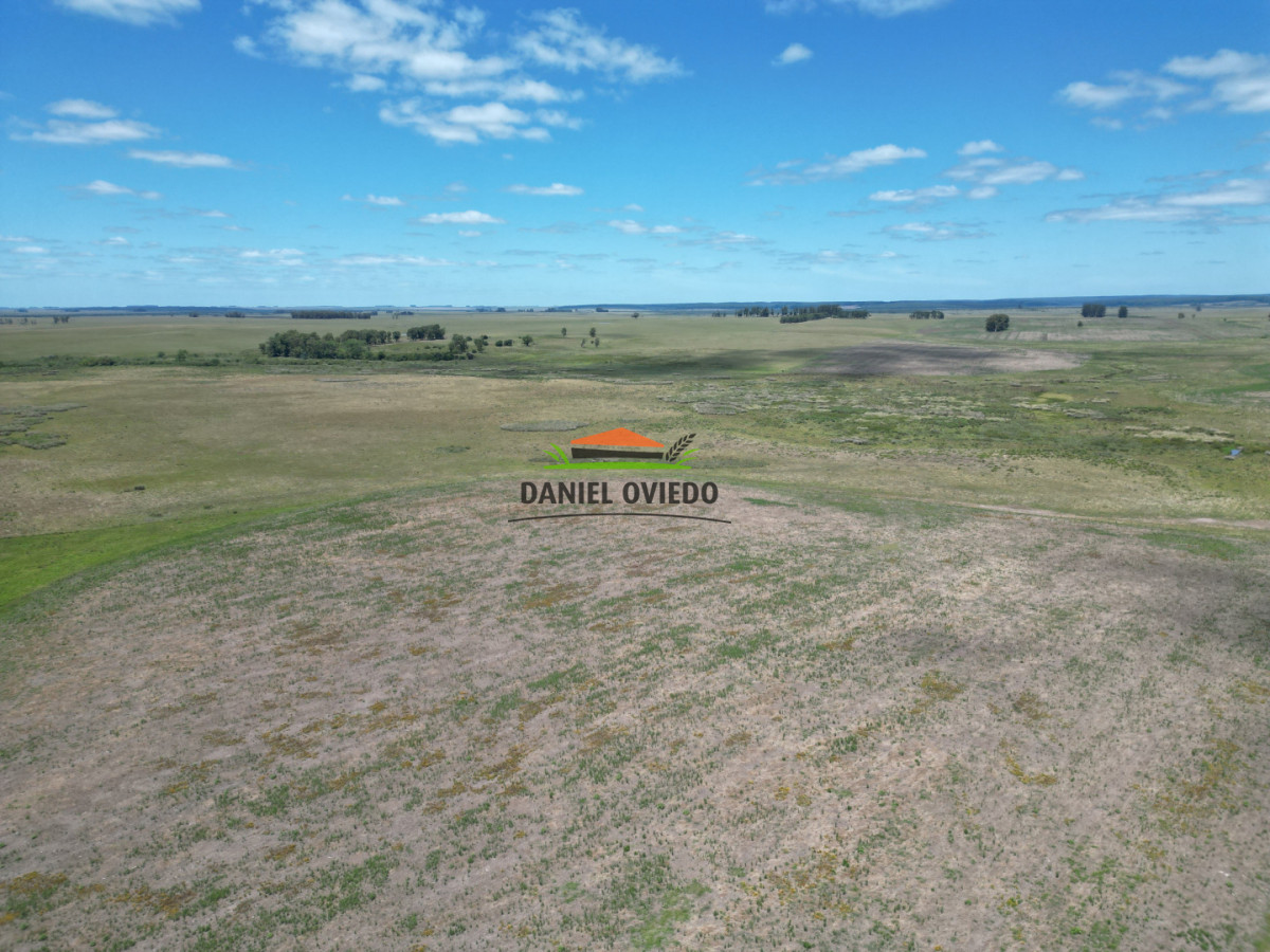 Campo Ref.359/Estancia-de-945-has-en-venta-en-Cerro-Largo. - Estancia de 945 has en venta en Cerro Largo.