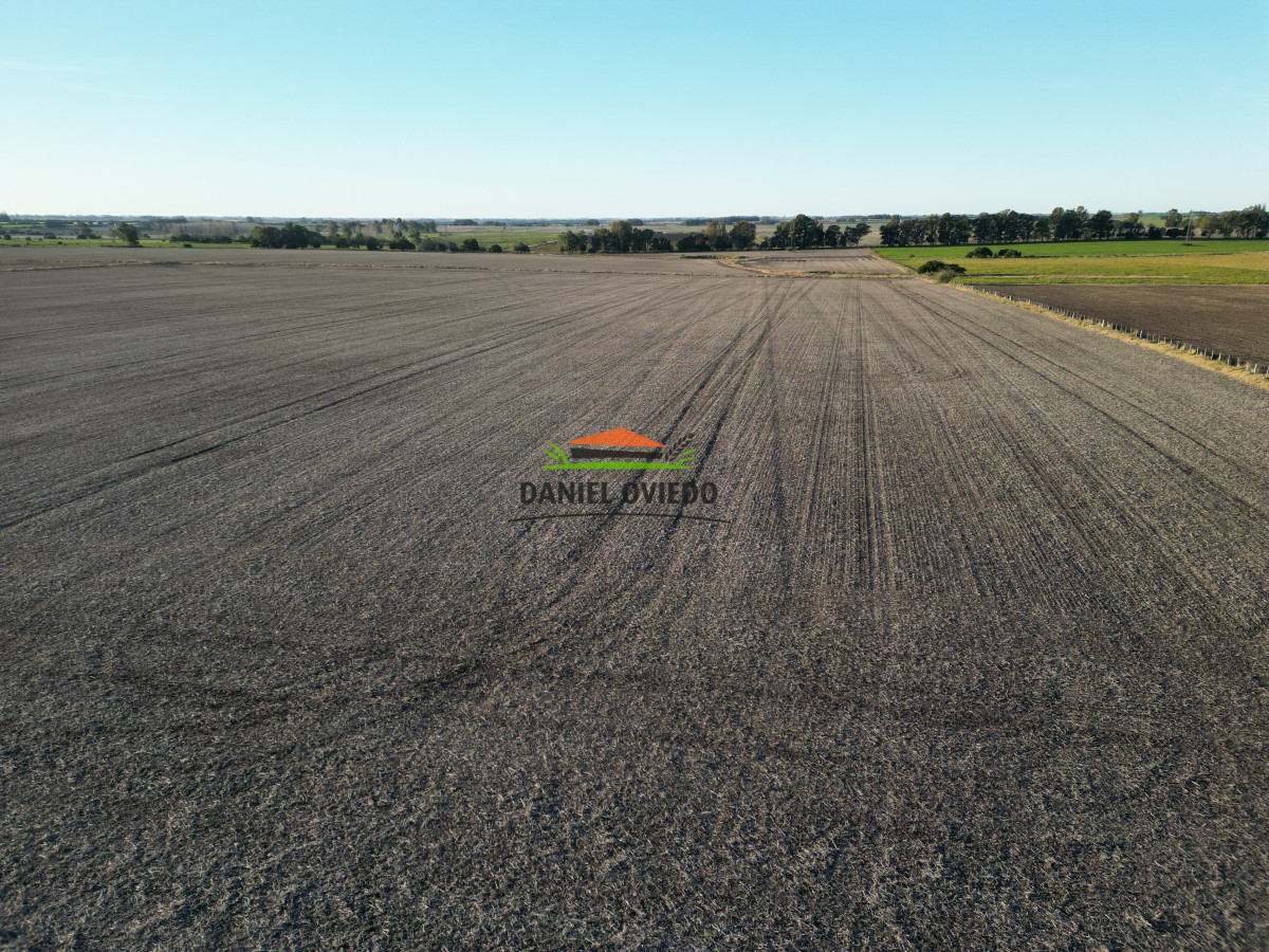 Campo Ref.209 - Excepcional ubicación en ruta 1 y campo productivo donde nadie vende.