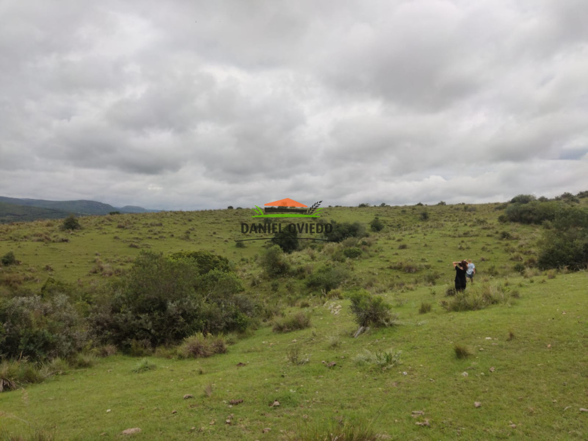 Campo Ref.364/39-has-en-venta-con-costa-de-arroyo-en-sierras-de-Garzón - 39 has en venta con costa de arroyo en sierras de Garzón