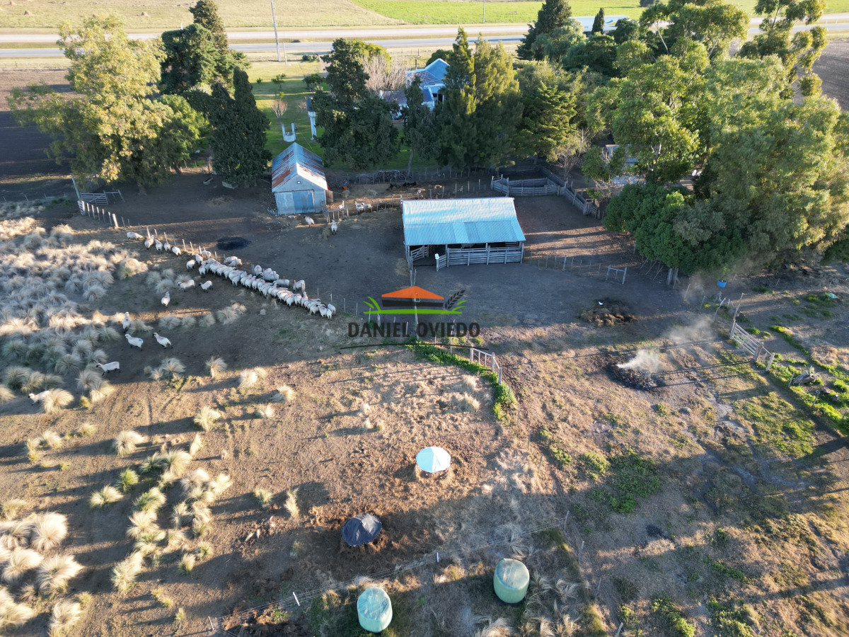 Campo Ref.209 - Excepcional ubicación en ruta 1 y campo productivo donde nadie vende.
