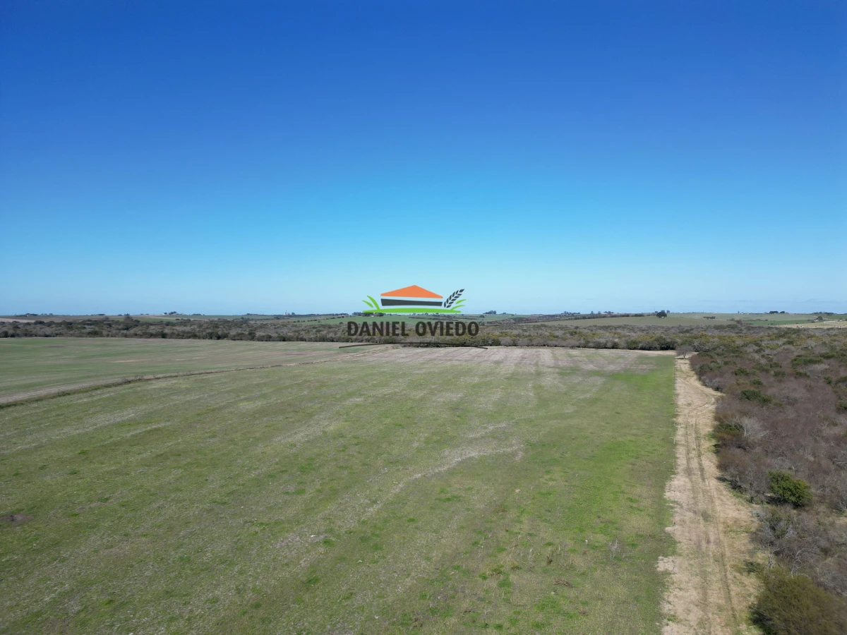 Campo Ref.243/Campo-agrícola-ganadero-en-venta-con-costa-de-arroyo. - Campo agrícola ganadero en venta con costa de arroyo.