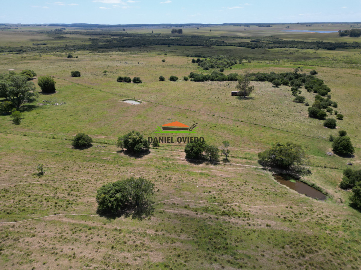Campo Ref.359/Estancia-de-945-has-en-venta-en-Cerro-Largo. - Estancia de 945 has en venta en Cerro Largo.
