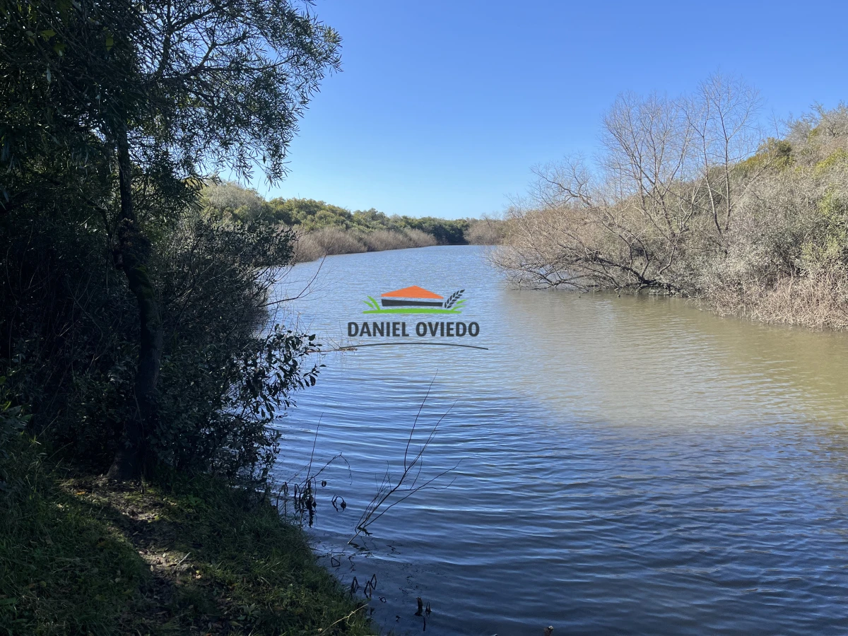 Campo Ref.243/Campo-agrícola-ganadero-en-venta-con-costa-de-arroyo. - Campo agrícola ganadero en venta con costa de arroyo.