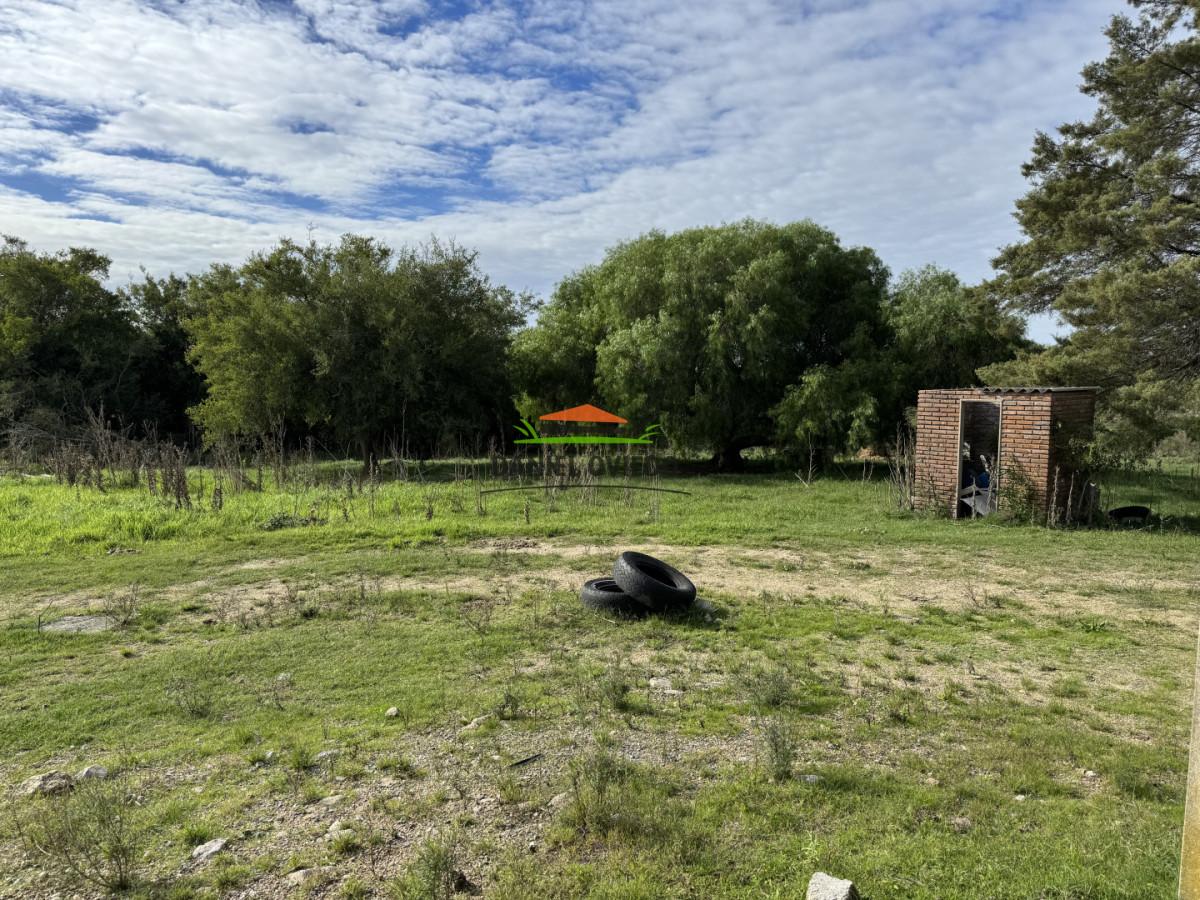 Campo Ref.377/Establecimiento-con-f - Establecimiento con fábrica y 33 Hás de campo - Instalaciones y equipamiento incluidos | Colonia
