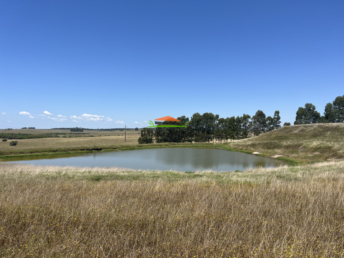 Campo Ref.357/Muy-buen-establecimiento-completo-en-venta-en-ruta-26-proximo-a-Melo. - Muy buen establecimiento completo en venta en ruta 26 proximo a Melo.