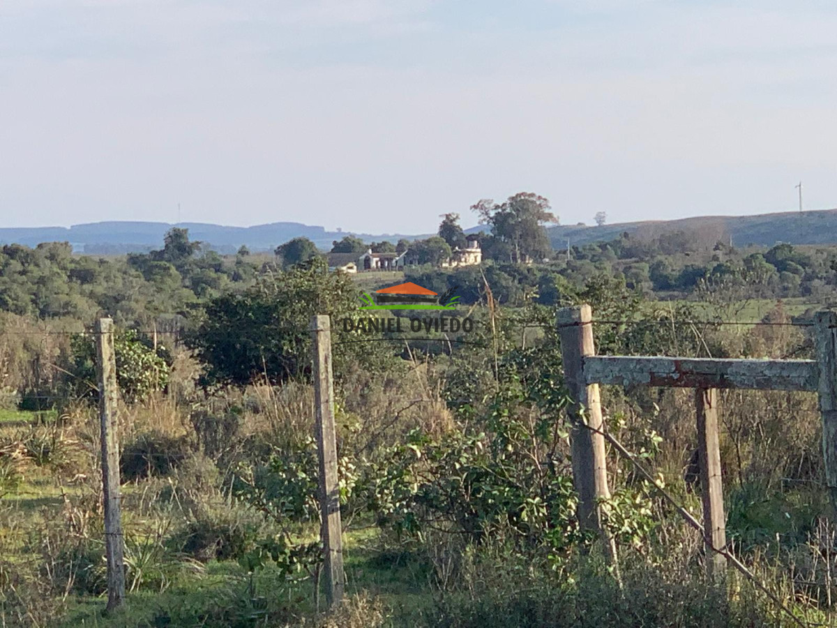 Campo Ref.211 - Estancia La Querida, Cerro Largo, 1.675 has en venta.