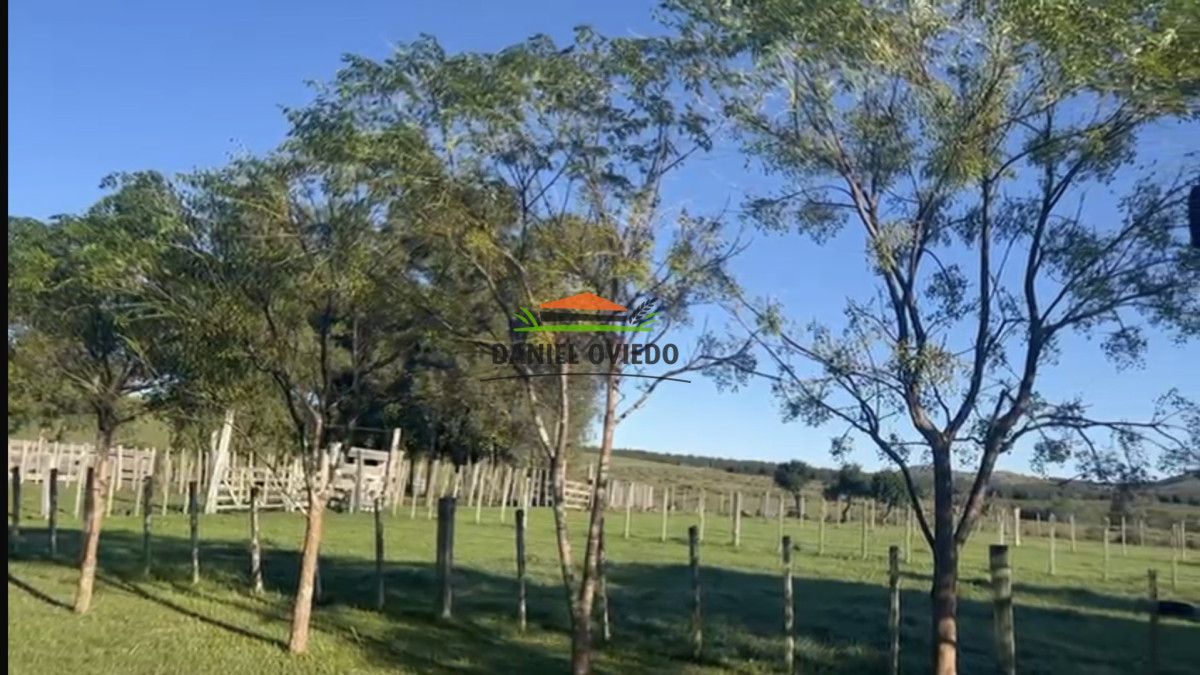 Campo Ref.354/Establecimiento-completo-campo-criador,-ganadero-en-venta-de-302-has. - Establecimiento completo campo criador, ganadero en venta de 302 has.