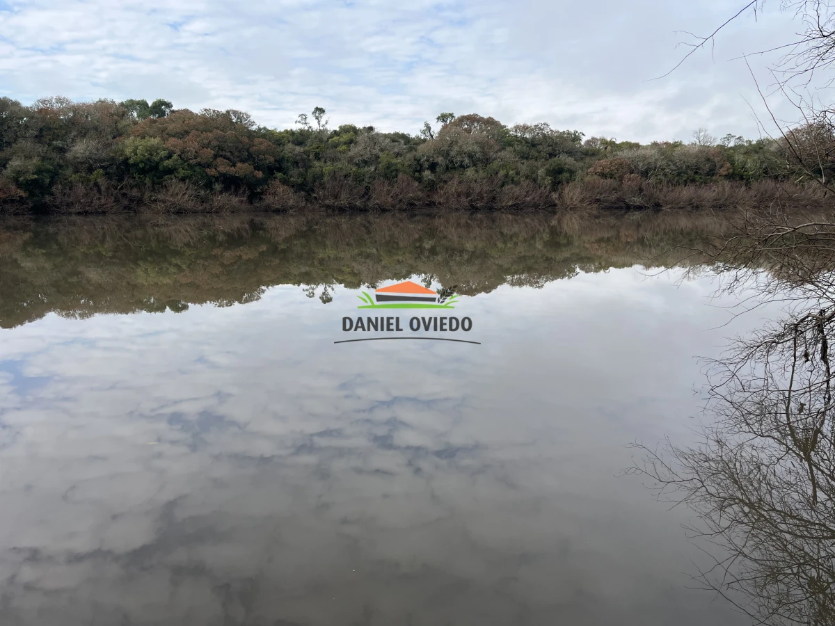 Campo Ref.245/1.350-has-ganaderas-en-arrendamiento-Noreste-de-Cerro-Largo. - 1.350 has ganaderas en arrendamiento Noreste de Cerro Largo.