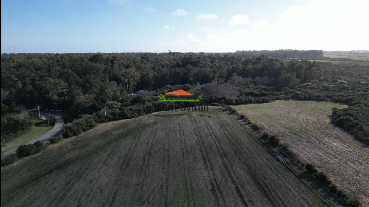 Campo Ref.235/Campo-agr - Campo agrícola de 23.8 has próximo a balneario Artilleros.