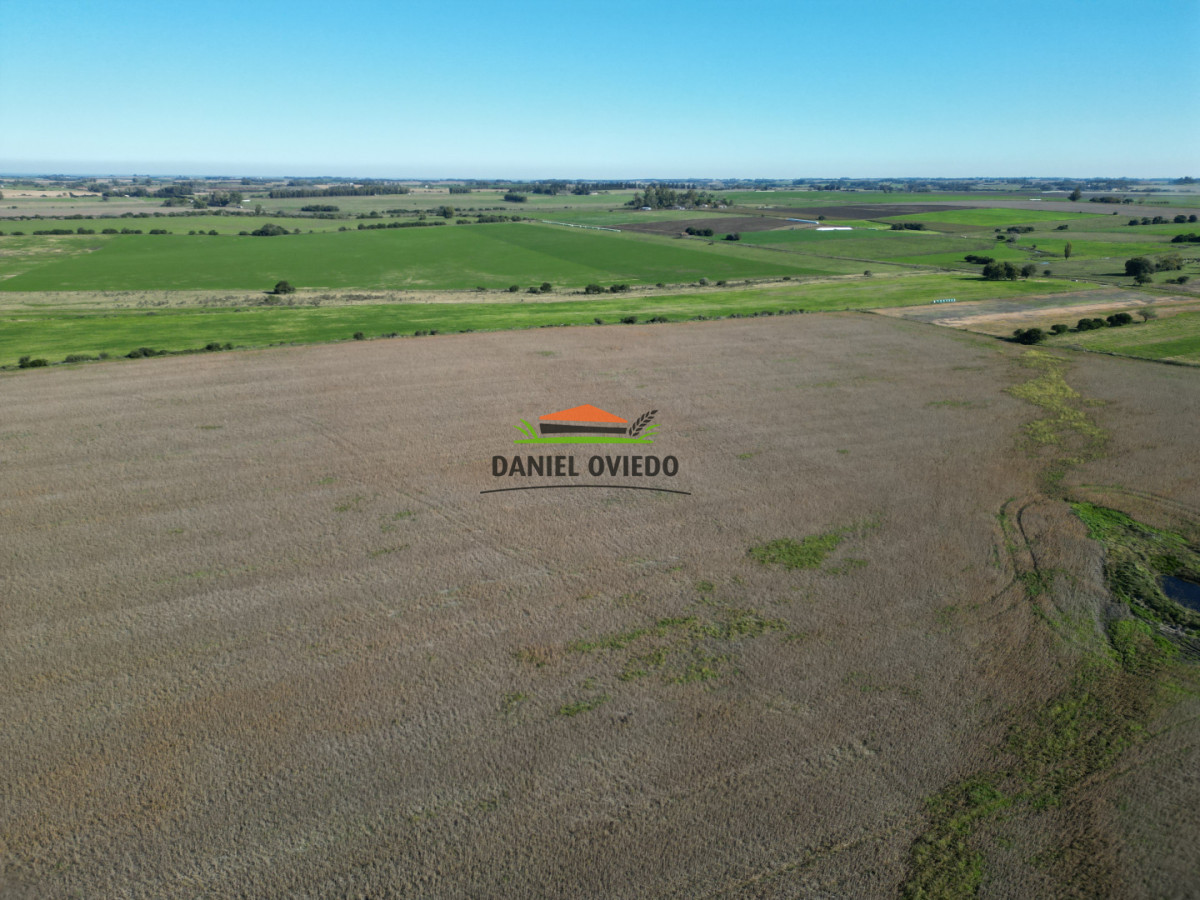 Campo Ref.383/22-Hect - 22 Hectáreas Agrícolas sobre Ruta 1 | Excelente Ubicación y Muy Buenos Suelos