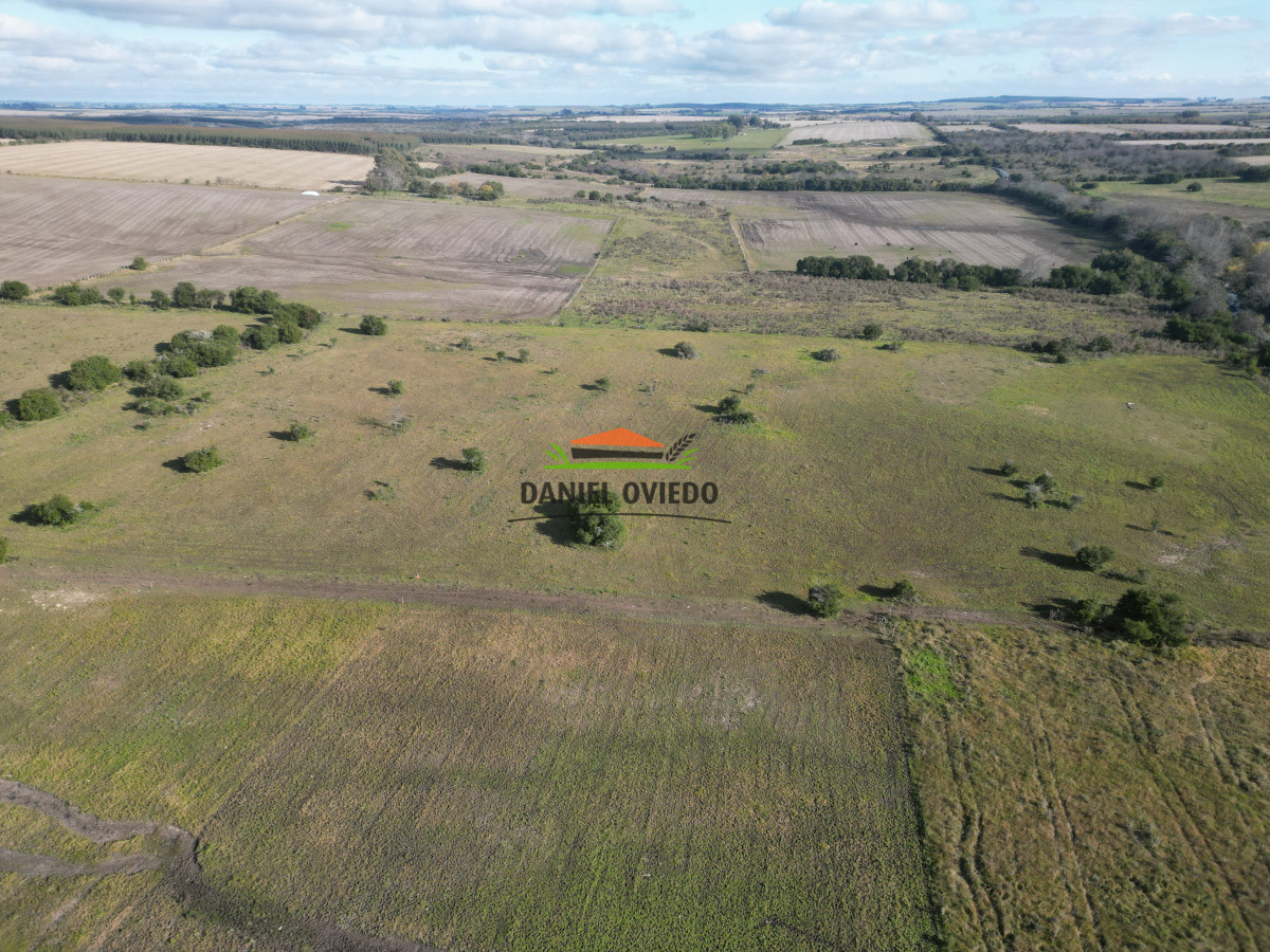Campo Ref.208 - Campo agrícola ganadero de 20,95 has en Miguelete de Campana.