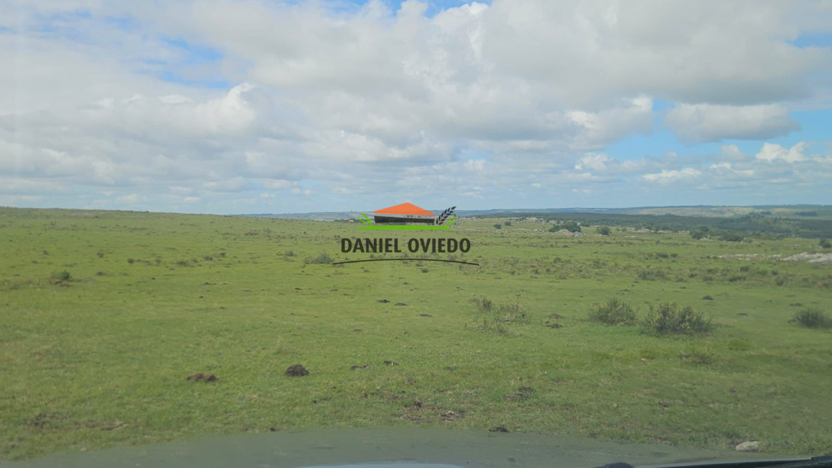 Campo Ref.362/650-has-campo-criador-en-venta-en-Lavalleja. - 650 has campo criador en venta en Lavalleja.