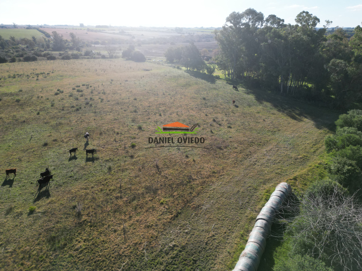 Campo Ref.208 - Campo agrícola ganadero de 20,95 has en Miguelete de Campana.