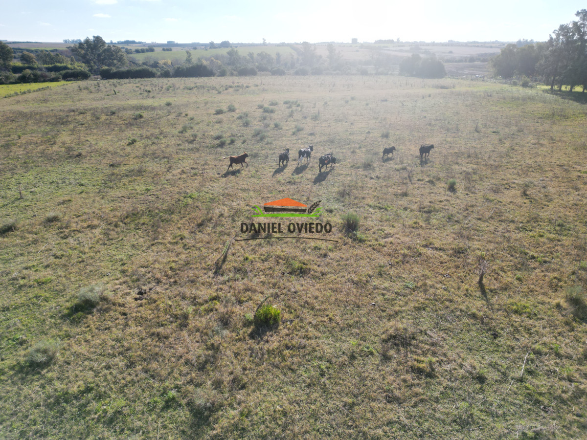 Campo Ref.208 - Campo agrícola ganadero de 20,95 has en Miguelete de Campana.